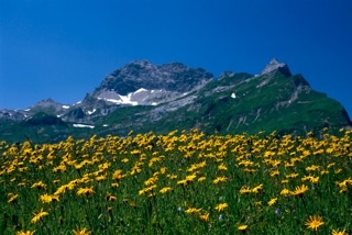 11 Karbühel - Aus den Flammen klang...