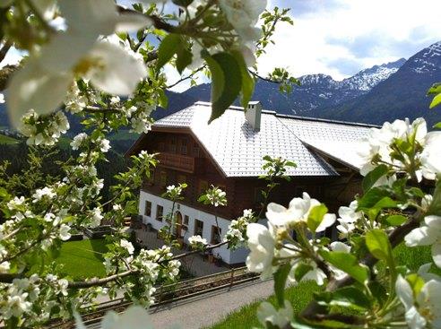 Fischhof