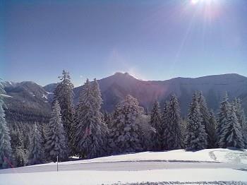 Sonnenschein und Pulverschnee