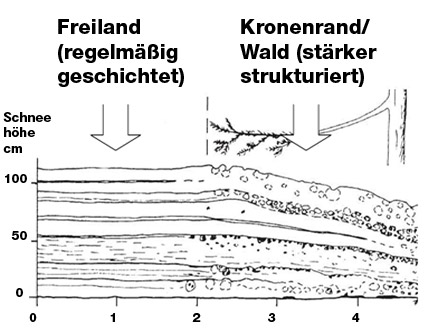 Schneedeckenstruktur
