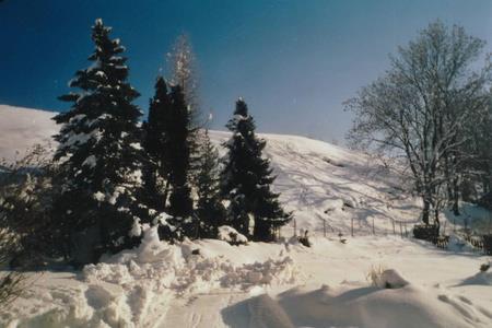 Winter vor dem Haus