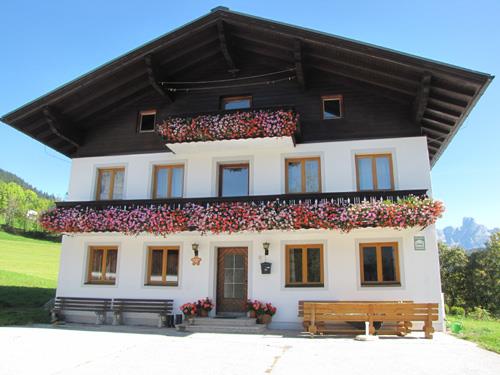 Krafthof im Sommer