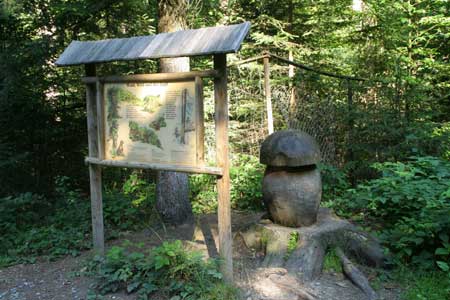 Walderlebnispfad Möggers