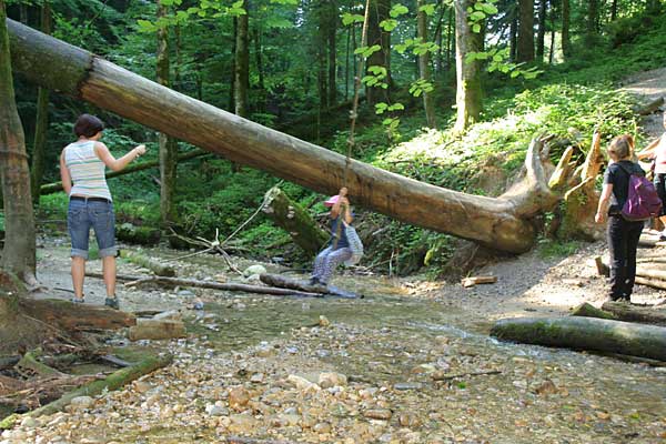 Walderlebnispfad Möggers