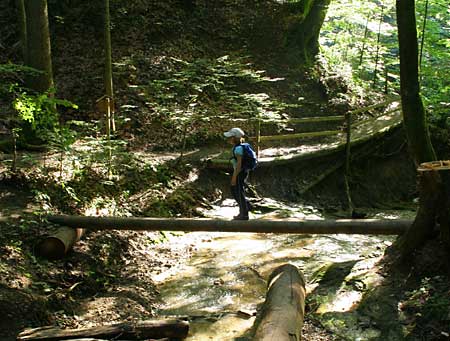 Walderlebnispfad Möggers