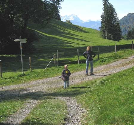 Abzweig und Weg nach Ahornach - Hirschberg