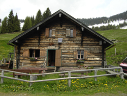 Moosalm