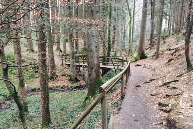 Brücke im Wald