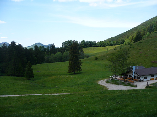 Maisalm