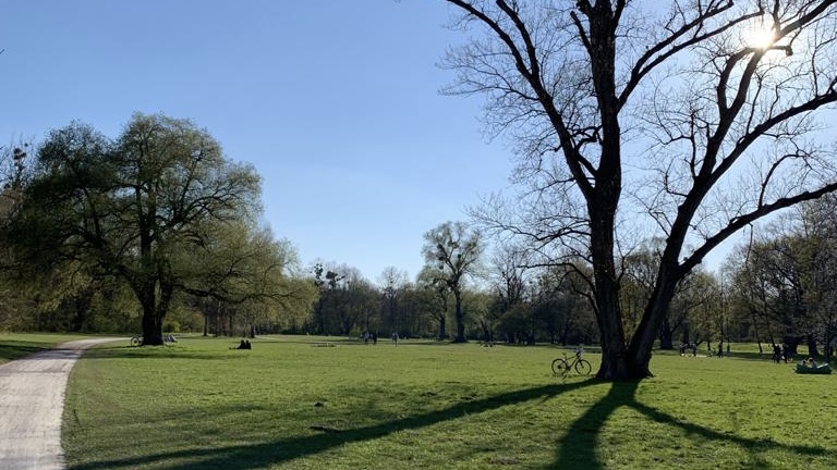 Englischer Garten