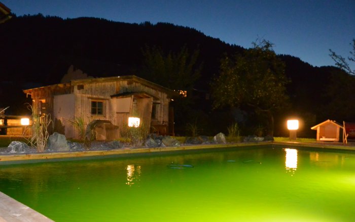 2015-08dorfchaletsauau.pool1