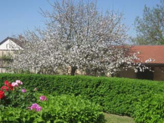 Hotel Schloss Eggersberg, Frühling im Innenhof