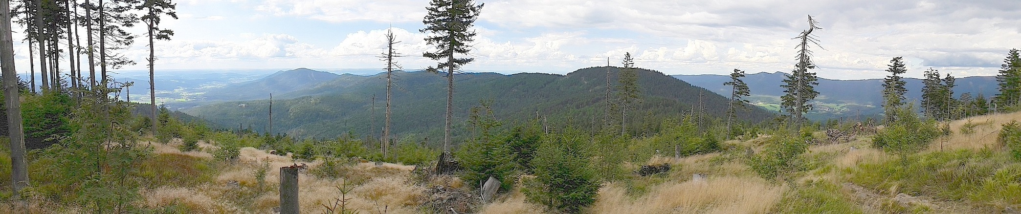 Panorama nach Norden vor dem Heugstatt-Gipfel