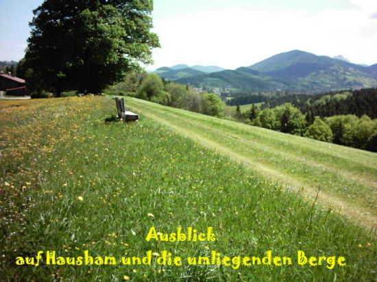 https://d1pgrp37iul3tg.cloudfront.net/objekt_pics/obj_full_109446_024.jpg