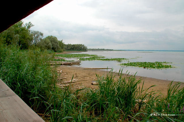 Blick auf die Sand- und Schlammbänke am Achendelta.
