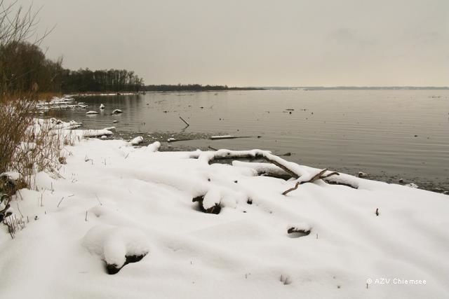Blick vom Beobachtungsturm auf die winterliche Hirschauer Bucht.