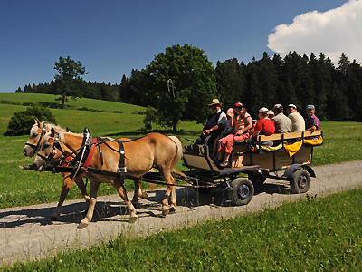 Kutschfahrt um Scheidegg