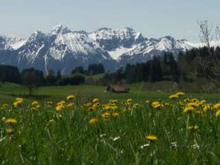 Verbringen Sie den Frühling im Allgäu