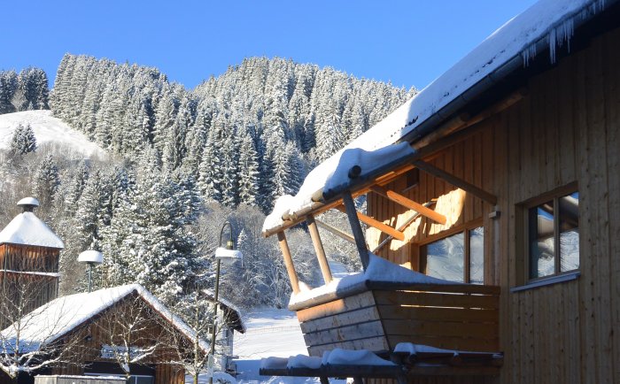 2016-01dorfchaletallgemein15