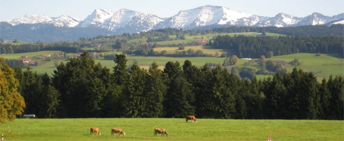 herbst