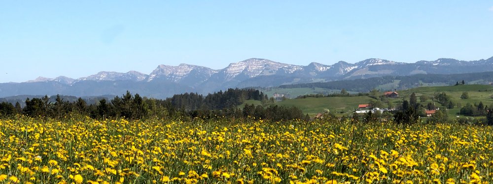 panorama-1