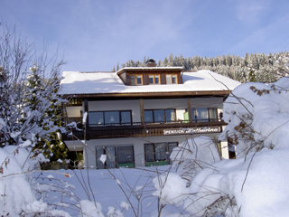 hausfotowinter2007