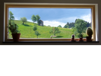 Blick aus dem Fenster