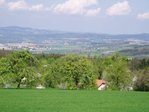bei der Spitzwirtin