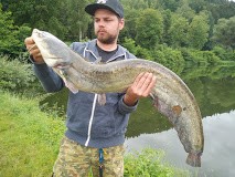 foto-fisch