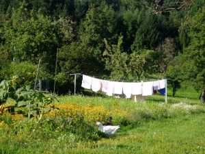 bei der Spitzwirtin