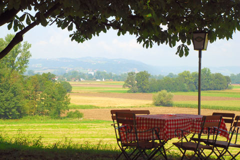 Gastgarten