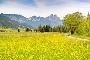 Frühling in Tannheim Foto: TVB Tannheimer Tal/Achim Meurer