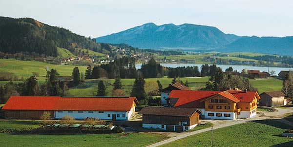 Luftbild von unserem Hof