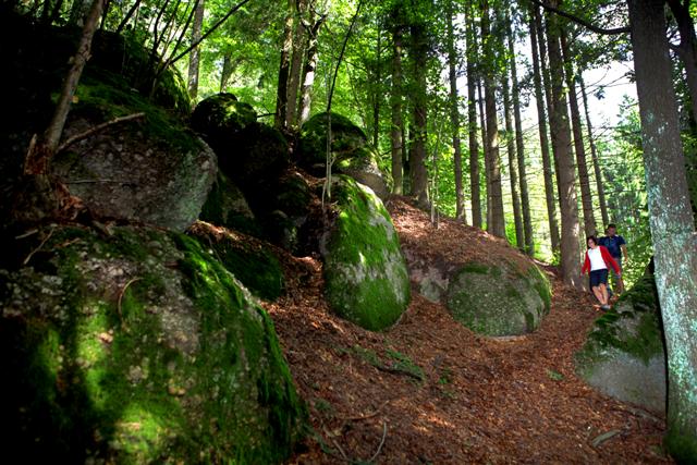 Wandern am Panoramablickweg Haiderberg