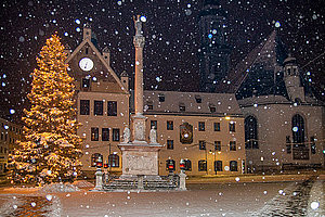 Christbaum am Marienplatz