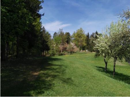 Rainbach_Thingplatz Taiding