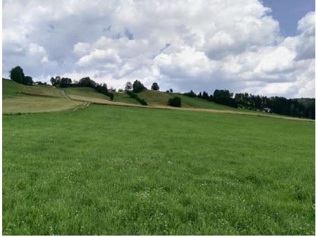 Rainbach_Weg zur Jaunitz