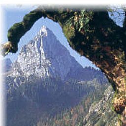 Bild 19