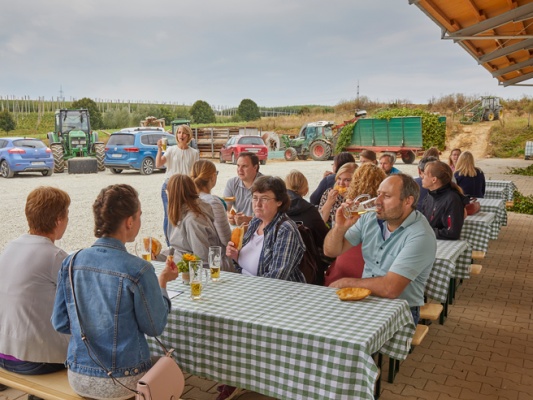 Bierprobe auf dem Hopfenerlebnishof Blomoser©Hopfenerlebnishof Blomoser