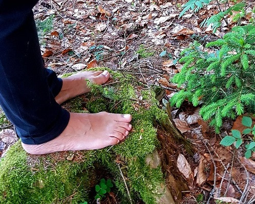 Barfuß im Wald - die Natur mit allen Sinnen erleben