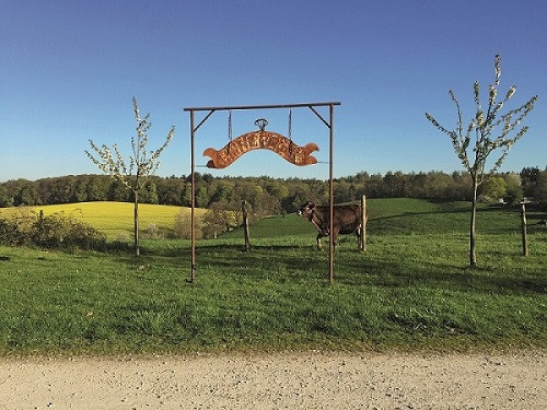 skulpturengarten_lonebase_kuh_gross