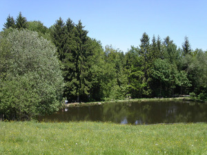 Fischteich Familie Tomandl