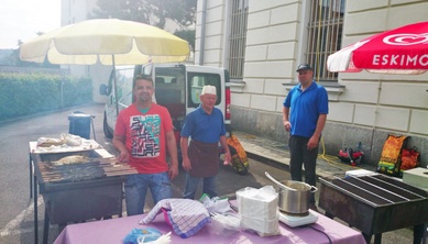 Steckerfische und Kistensau