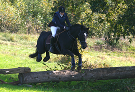 Reitergruppe Satzbach