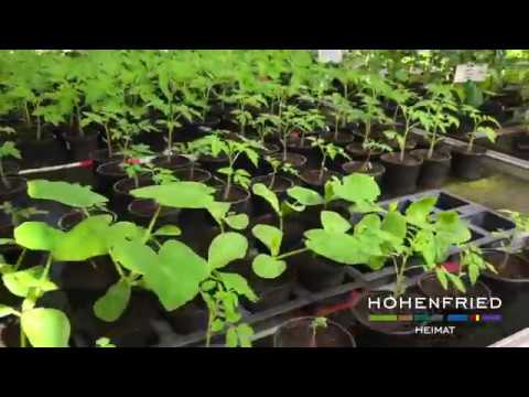 Gärtnerei Hohenfried