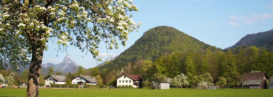 anfahrt