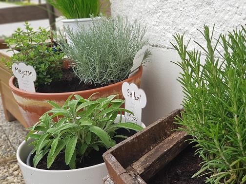 Kräutergarten Haus Güntli