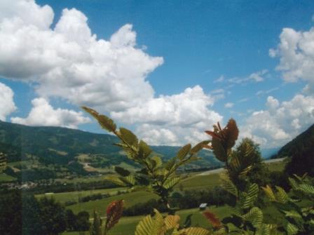 Landschaft 1