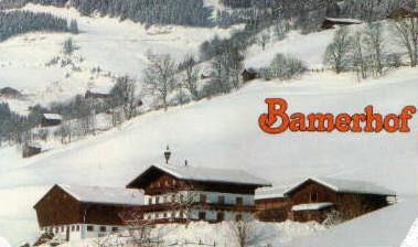 Pension Bamerhof Winter