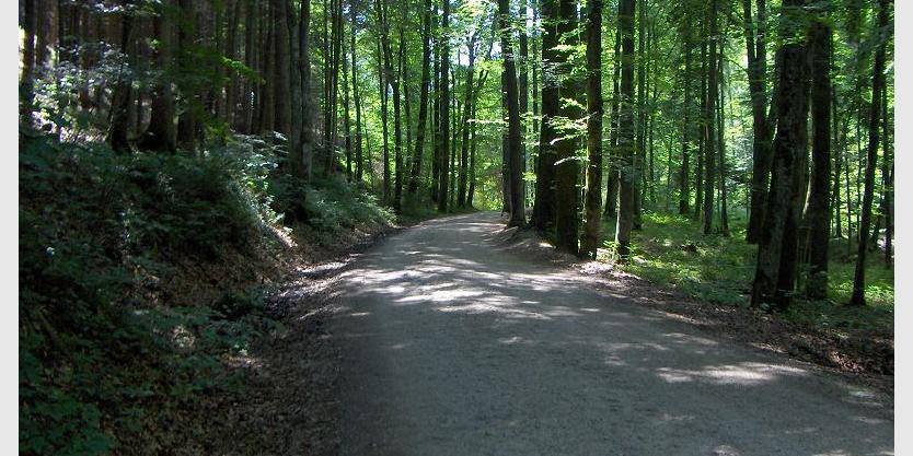 Beginn auf Fahrstrasse